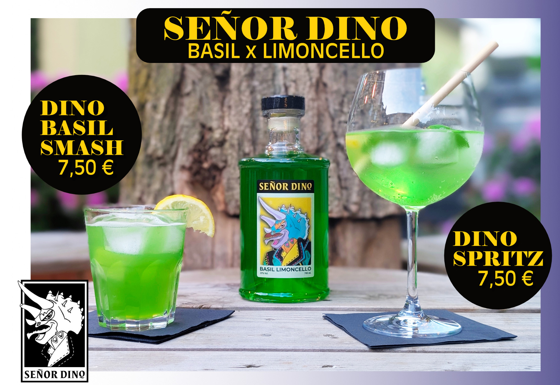 Dino Angebot
