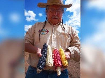 Clayton Brascoupe mit Ähren vom einheimischen Mais der Pueblo in New Mexico.