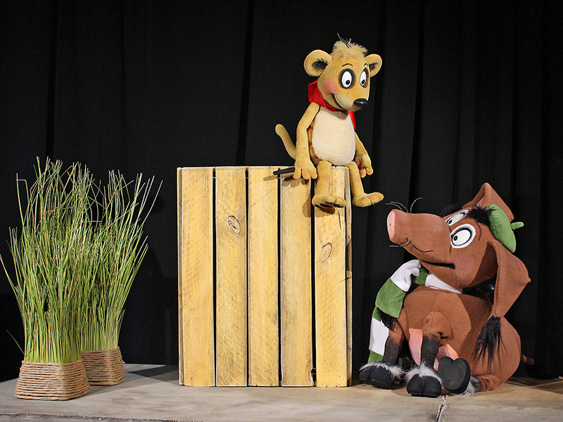 Tafiti und der geheimnisvolle Kuschelkissendieb